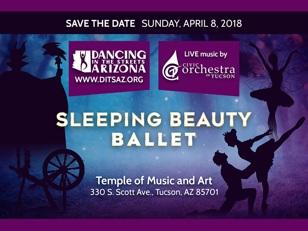 Sleeping Beauty 2018 Poster